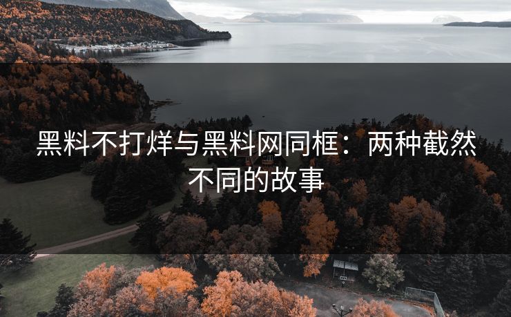 黑料不打烊与黑料网同框：两种截然不同的故事