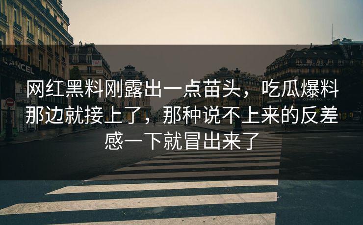网红黑料刚露出一点苗头，吃瓜爆料那边就接上了，那种说不上来的反差感一下就冒出来了