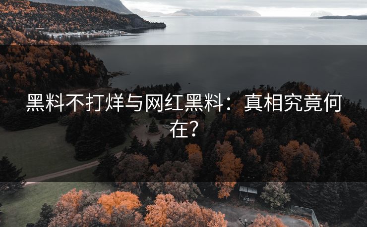 黑料不打烊与网红黑料：真相究竟何在？