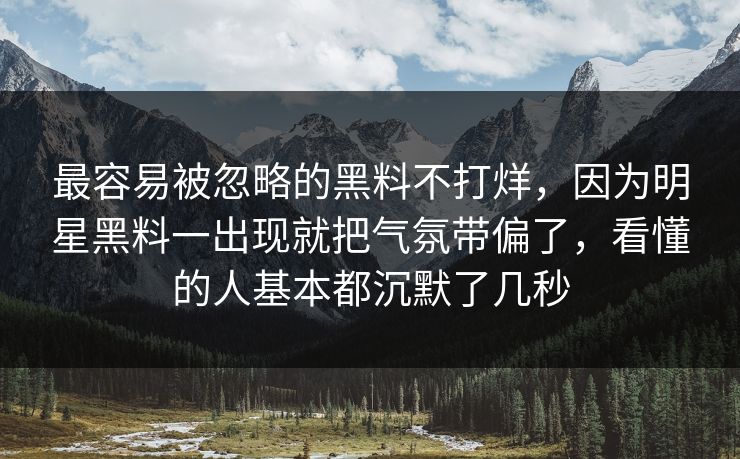 最容易被忽略的黑料不打烊，因为明星黑料一出现就把气氛带偏了，看懂的人基本都沉默了几秒