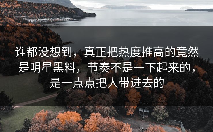 谁都没想到，真正把热度推高的竟然是明星黑料，节奏不是一下起来的，是一点点把人带进去的