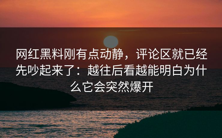 网红黑料刚有点动静，评论区就已经先吵起来了：越往后看越能明白为什么它会突然爆开