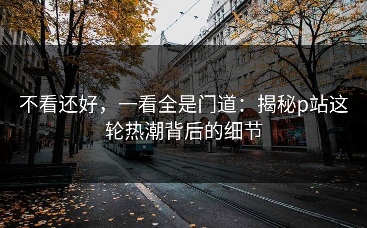 不看还好,一看全是门道:揭秘p站这轮热潮背后的细节 不看还好,一看全是门道:揭秘p站这轮热潮背后的细节
