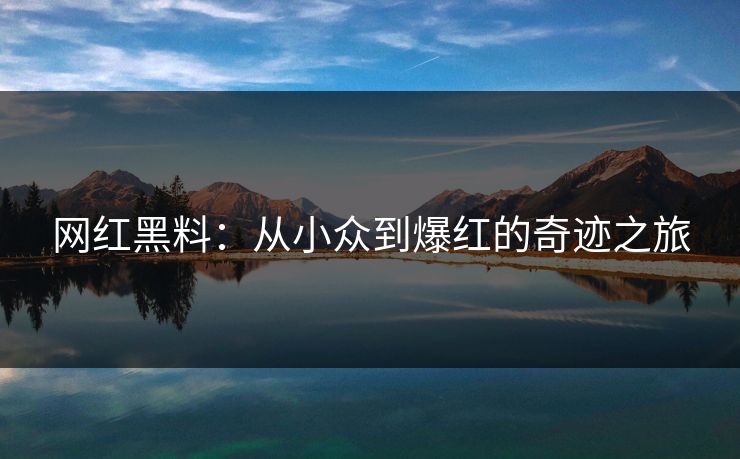 网红黑料：从小众到爆红的奇迹之旅