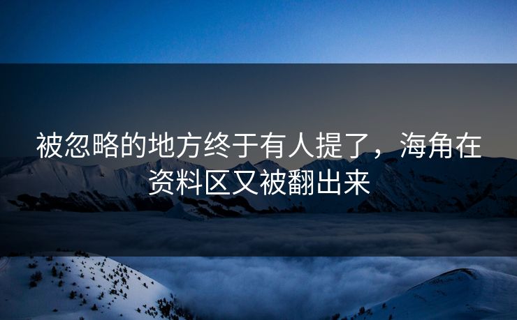 被忽略的地方终于有人提了，海角在资料区又被翻出来