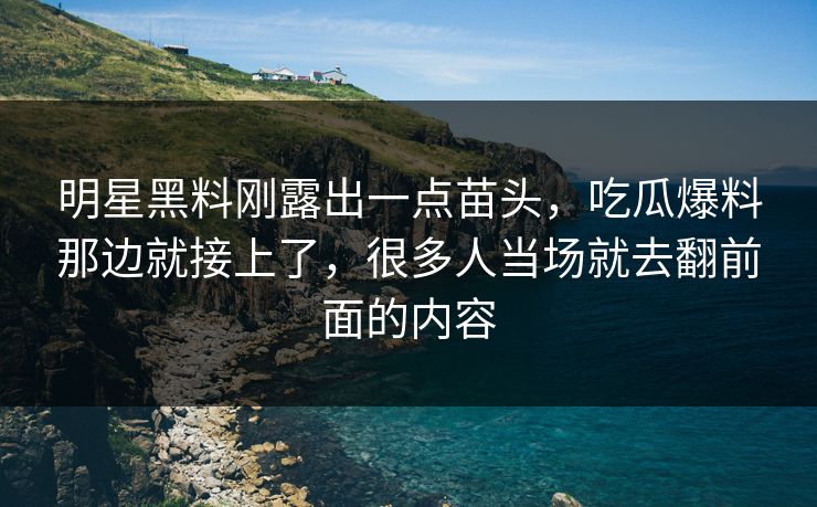 明星黑料刚露出一点苗头，吃瓜爆料那边就接上了，很多人当场就去翻前面的内容  第1张
